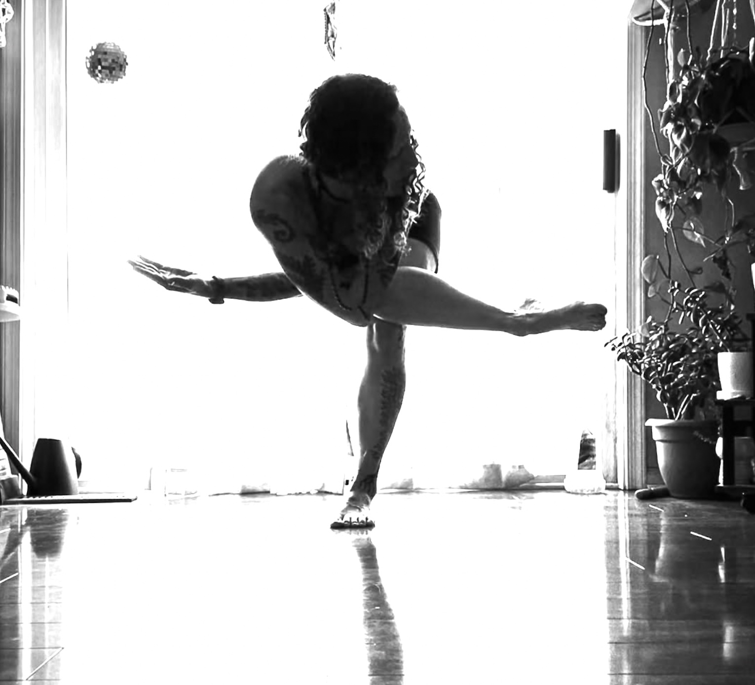 Vinyasa Flow yoga pose